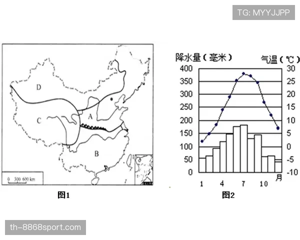 祖布门迪与赖斯:控场型与覆盖型后腰的战术功能差异解析 祖布门迪与赖斯:控场型与覆盖型后腰的战术功能差异解析